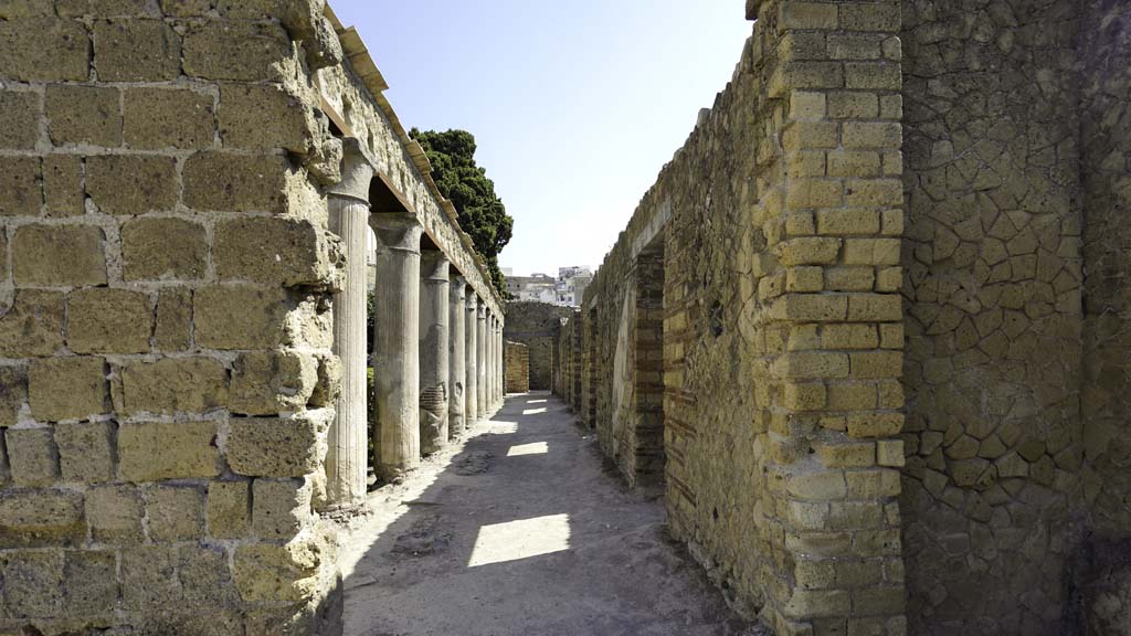 II.2 Herculaneum. August 2021. Looking north from southern end of east portico, taken from II.1. Photo courtesy of Robert Hanson.
